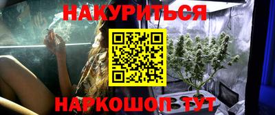 прущие грибы Азнакаево