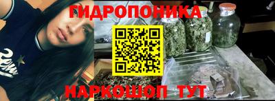 прущие грибы Азнакаево